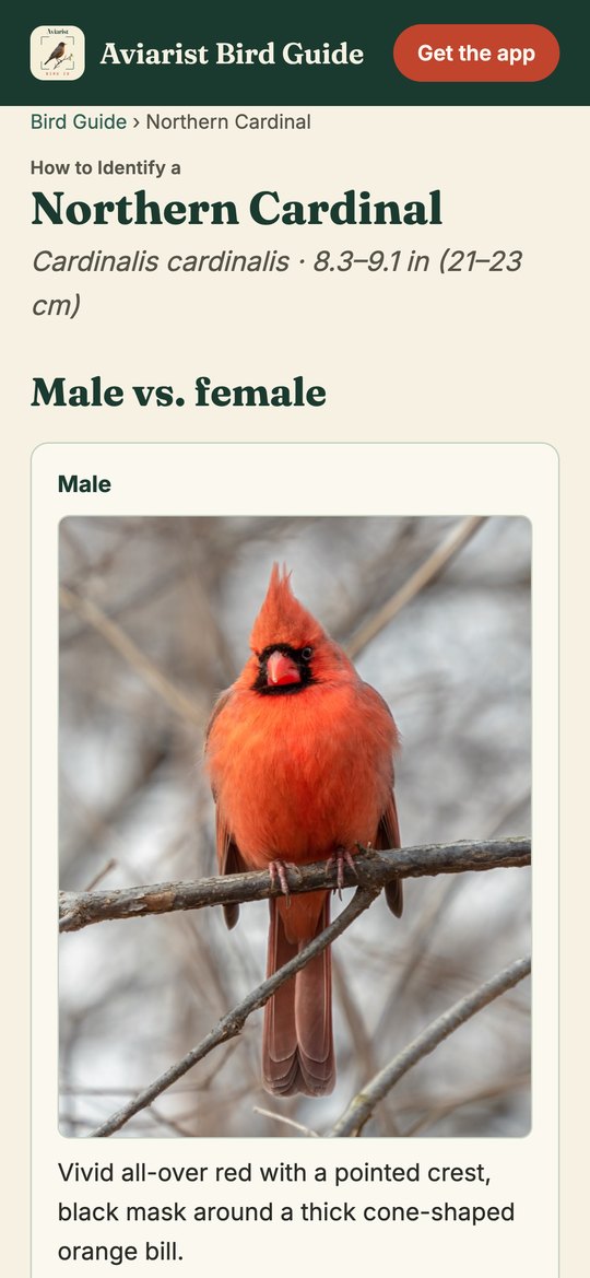 Aviarist — the Northern Cardinal field guide entry