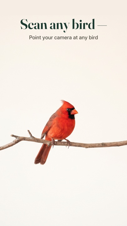 Aviarist — scan any bird
