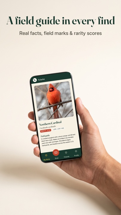 Aviarist — a field guide in every find
